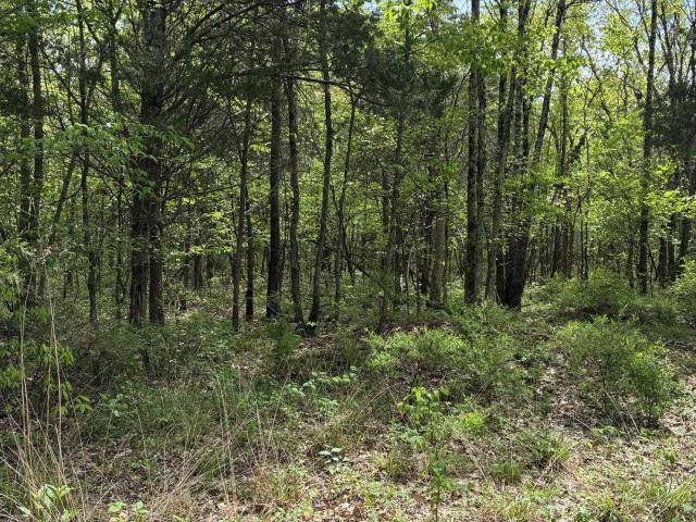 Land for sale in Russellville, Alabama