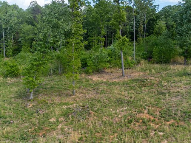 Land for sale in Efland, North Carolina