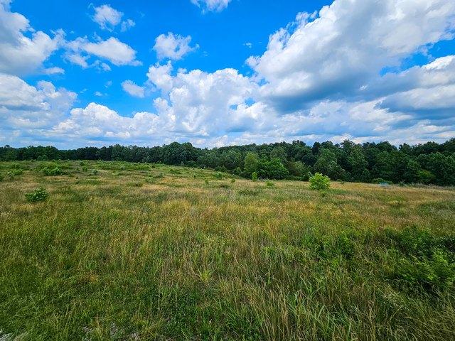 Land for sale in Hustonville, Kentucky