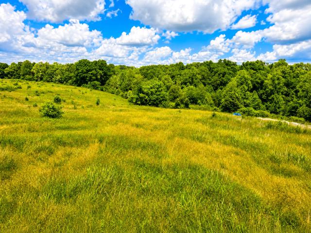 Land for sale in Hustonville, Kentucky