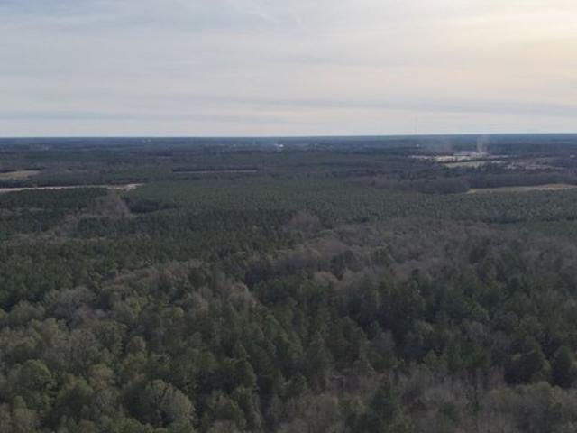 Land for sale in Screven, Georgia