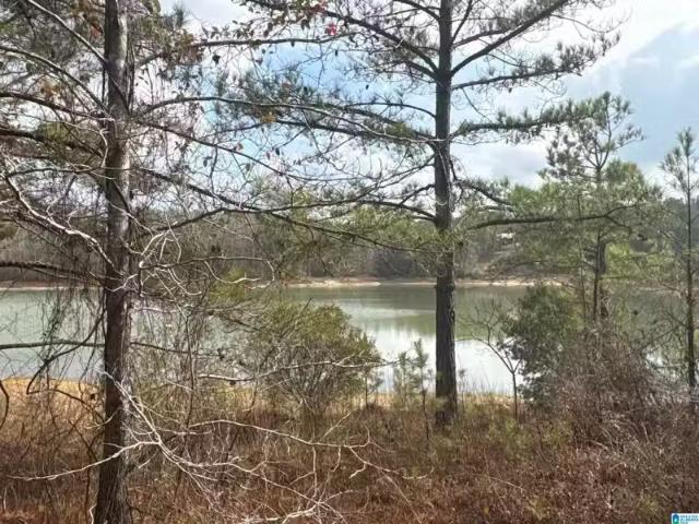 House for rent in Alabama