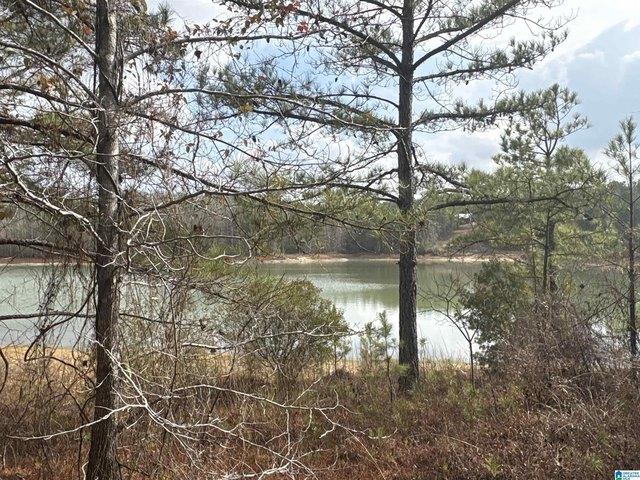 Land for sale in Maplesville, Alabama