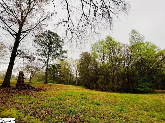 Land for sale in Abbeville, South Carolina