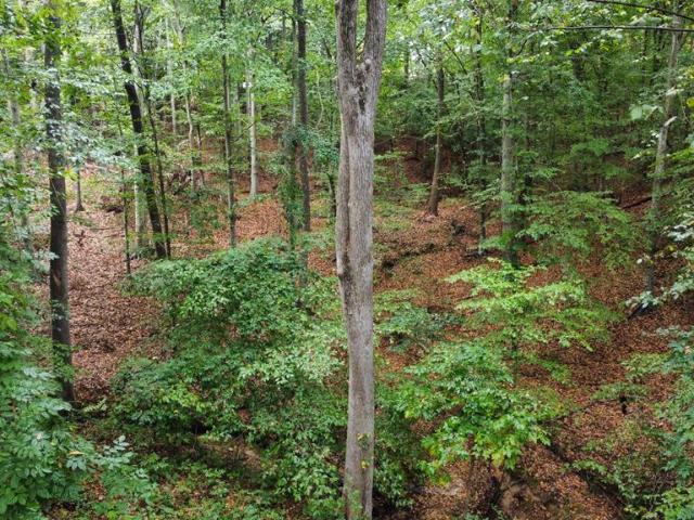 Land for sale in Abbeville, South Carolina