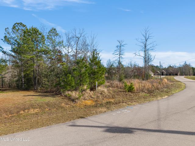Land for sale in Sumrall, Mississippi