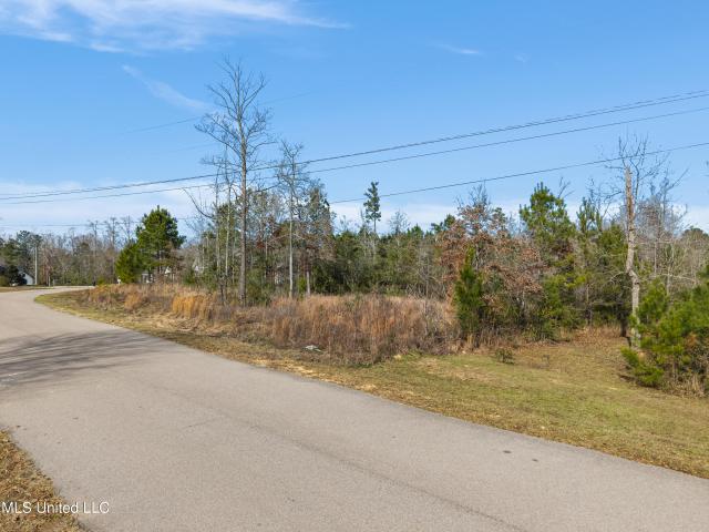 Land for sale in Sumrall, Mississippi