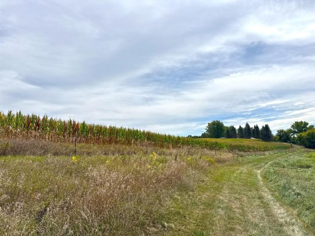 Land for sale in Silver Creek, Silver Creek Township