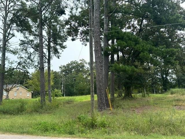 Land for sale in Nixon, Savannah