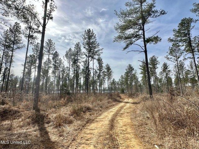 Land for sale in Terry, Mississippi