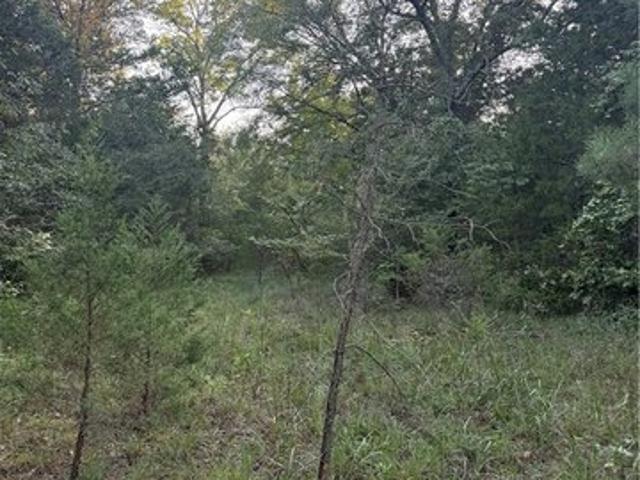 Land for sale in Dover, Pope County
