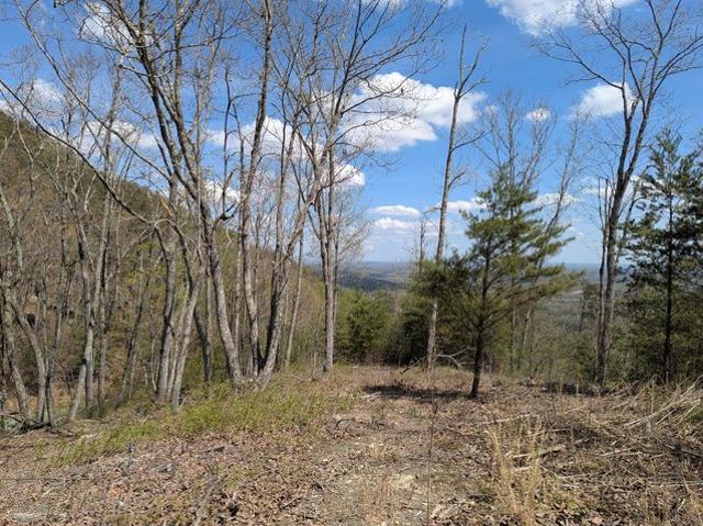 Land for sale in Tennessee