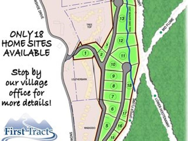 Land for sale in Snowshoe, Pocahontas County