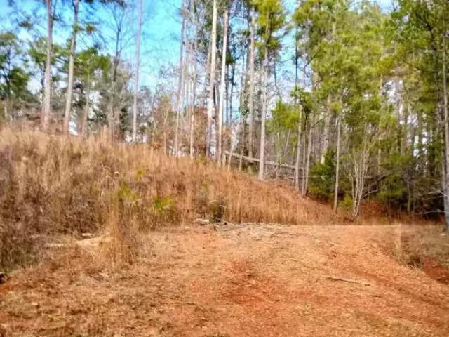 House for rent in Talladega, Alabama