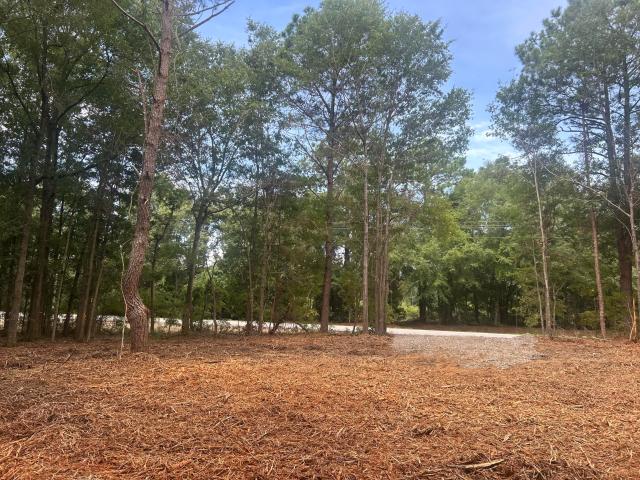Land for sale in Summerton, South Carolina