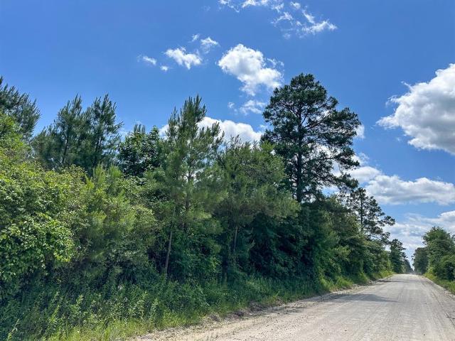 Land for sale in Groveton