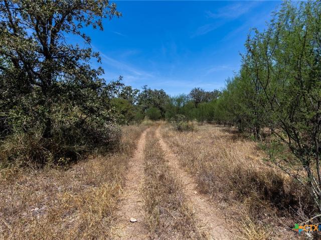 Land for sale in Kingsbury, Guadalupe County