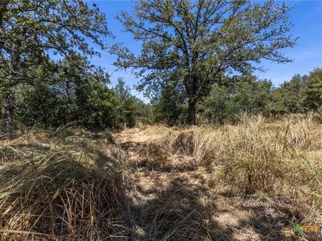 Land for sale in Kingsbury, Guadalupe County