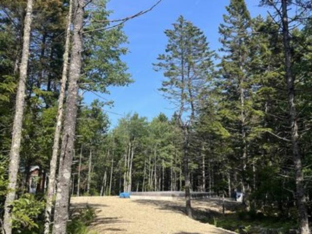 Land for sale in Steuben, Maine