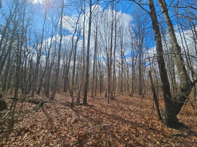 Land for sale in Tennessee