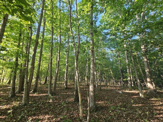 Land for sale in Tennessee