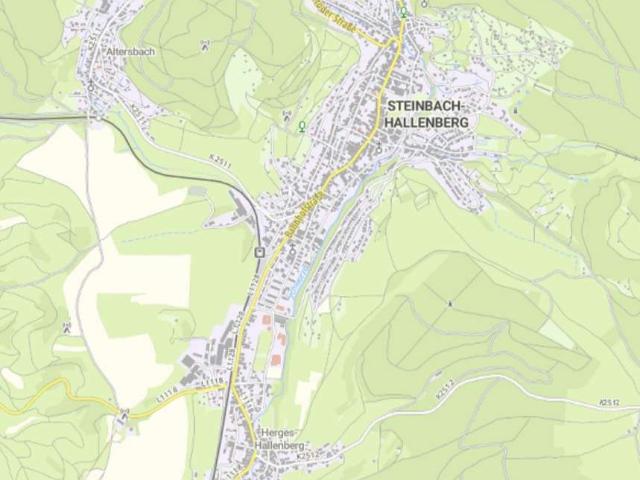 Erdgeschosswohnung kaufen in Steinbach-Hallenberg