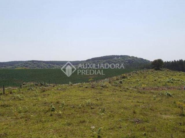 Sítio e chácara venda em Região Geográfica Imediata de Caxias do Sul, Caxias do Sul