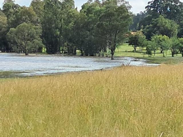 Land for sale in Oranjeville, Free State