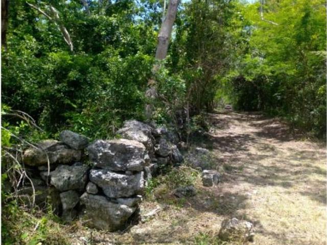 10 Hectáreas de oportunidad en Mérida