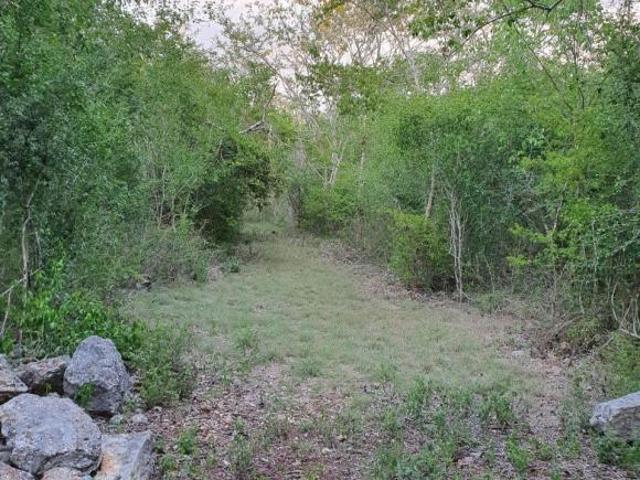 10 Hectáreas de oportunidad en Mérida