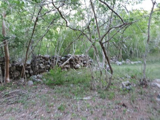 10 Hectáreas de oportunidad en Mérida