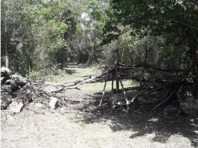 10 Hectáreas de oportunidad en Mérida