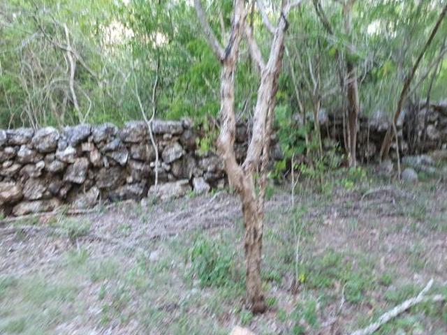 10 Hectáreas de oportunidad en Mérida