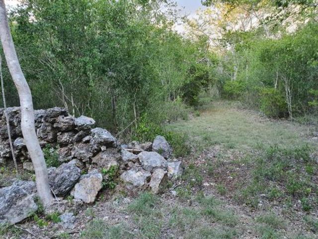 10 Hectáreas de oportunidad en Mérida