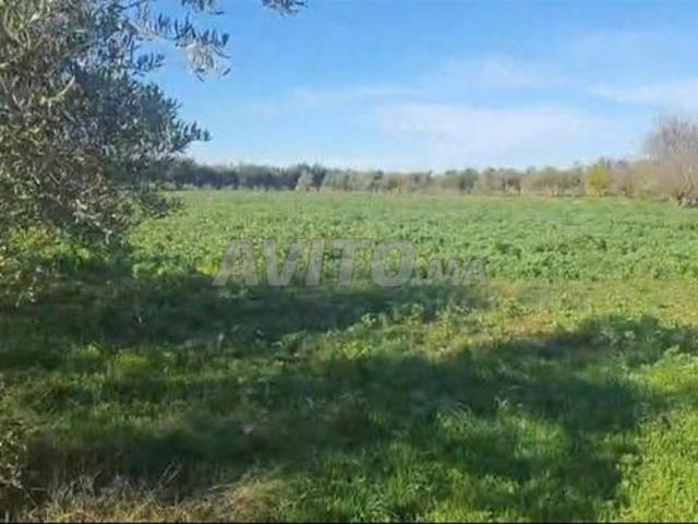 Propriété vente à Meknès