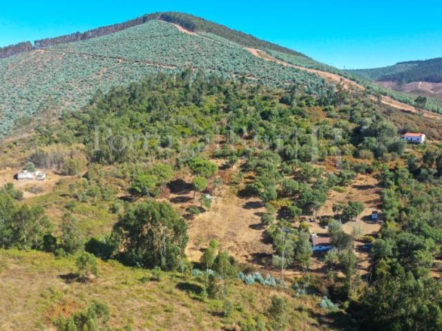 Vivenda venda em Avenida, Glória