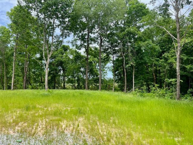 Land for sale in Tennessee