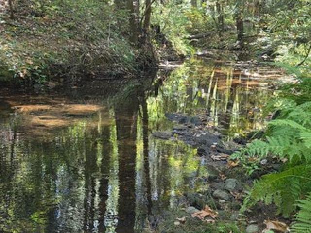Land for sale in Georgetown, El Dorado County