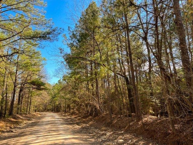 Land for sale in Polk, Texas