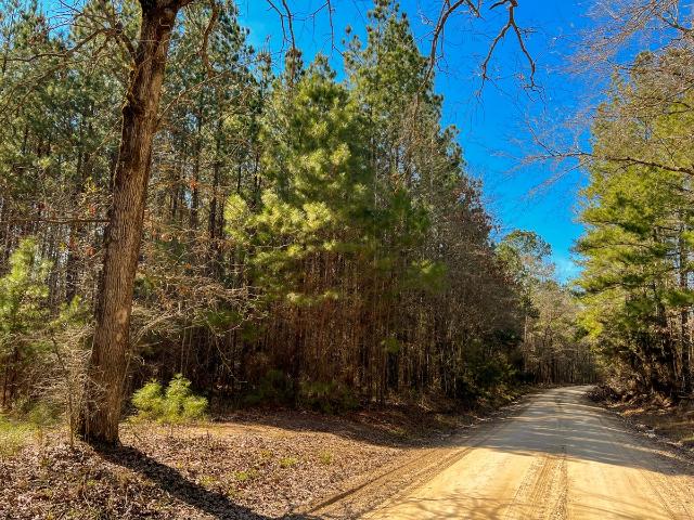 Land for sale in Polk, Texas
