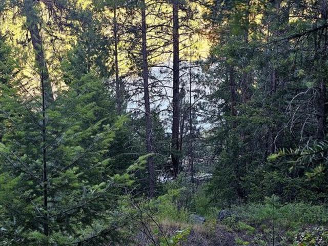 Land for sale in Kettle Falls, Washington