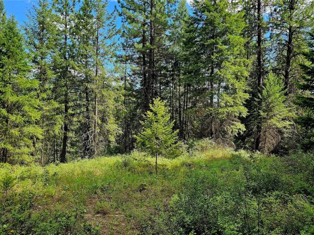Land for sale in Kettle Falls, Washington