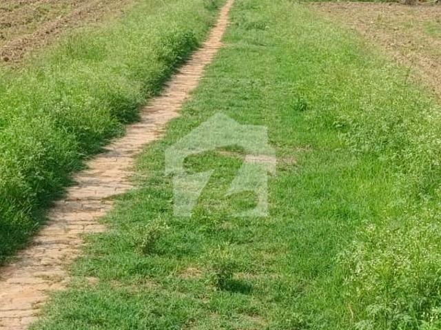 Land for rent in Islamabad