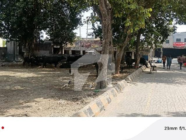 Commercial for rent in شیخوپورہ, لاہور ڈویژن