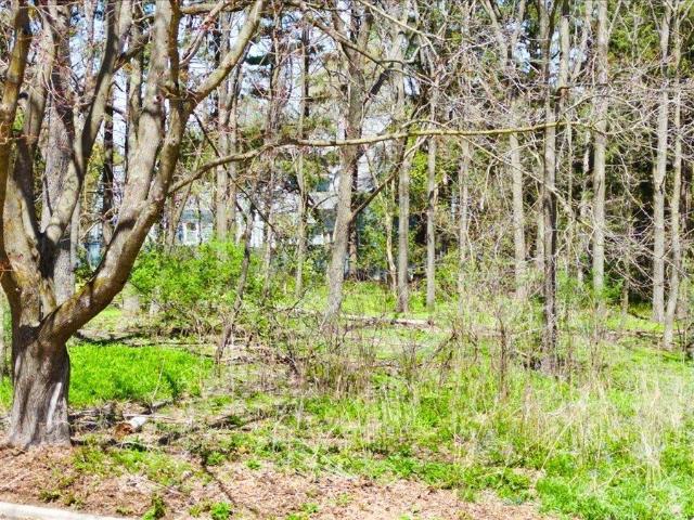 Land for sale in Madison, Wisconsin