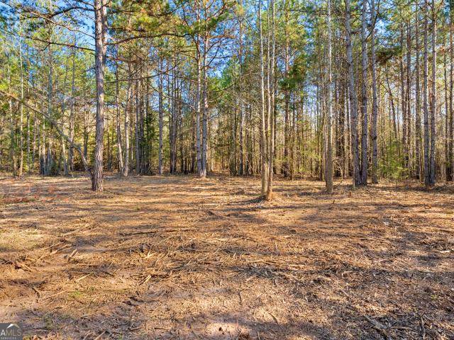 Land for sale in Hartwell, Georgia