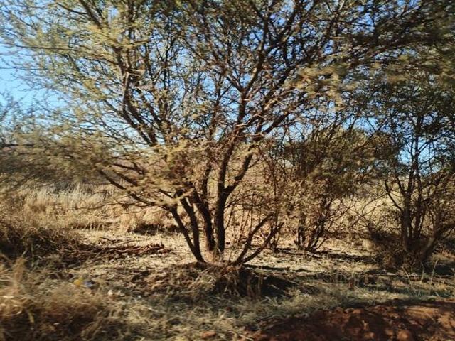 Land for sale in Limpopo