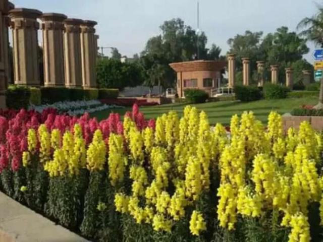 House for rent in Faisalabad, Islamabad Capital Territory