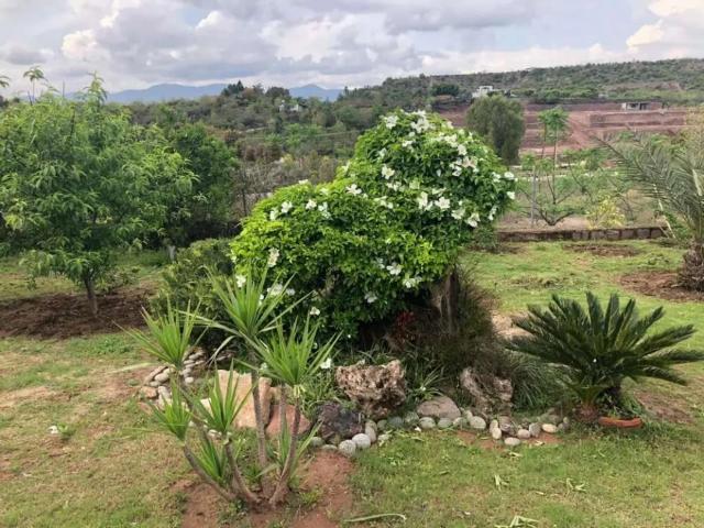 Land for sale in Islamabad