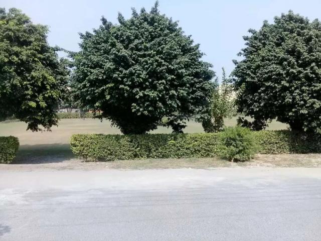 Property for rent in Rawalpindi, Islamabad Capital Territory